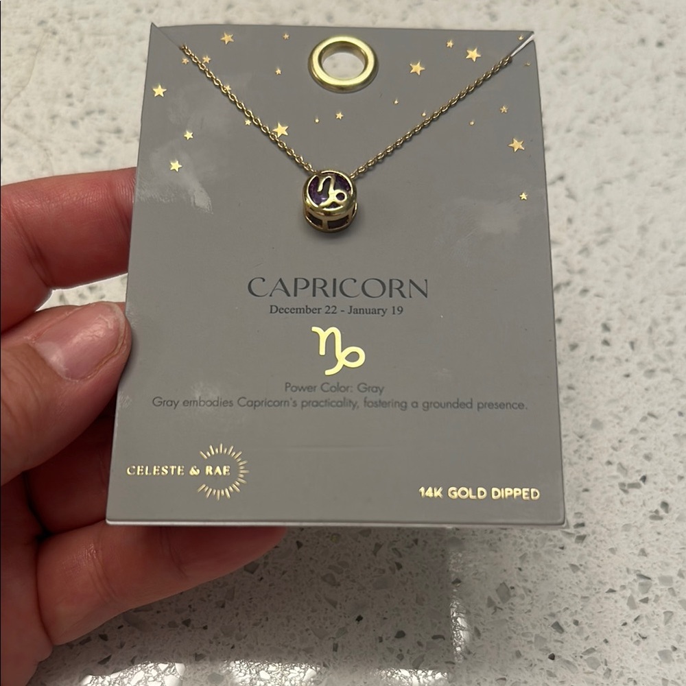 Celeste Gold Capricorn Necklace 14k gold dipped